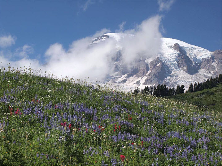 mountrainierfinal.jpg