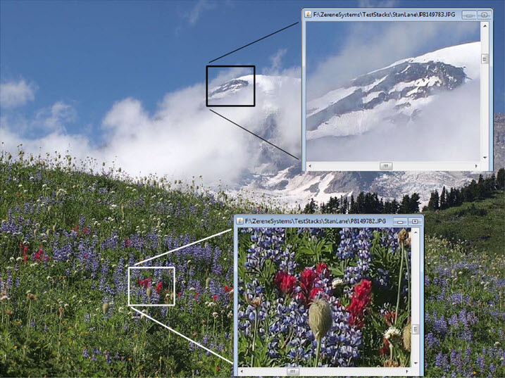 mountrainierfinaldetails.jpg
