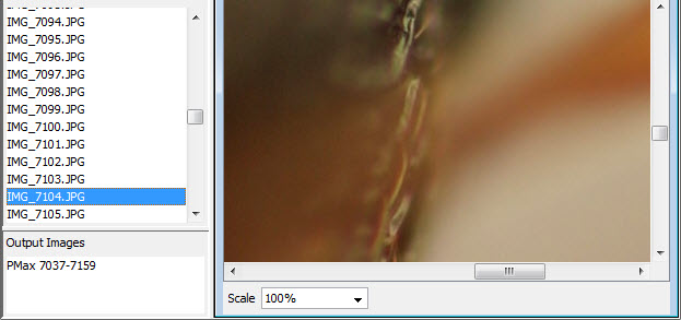 facebehind.jpg