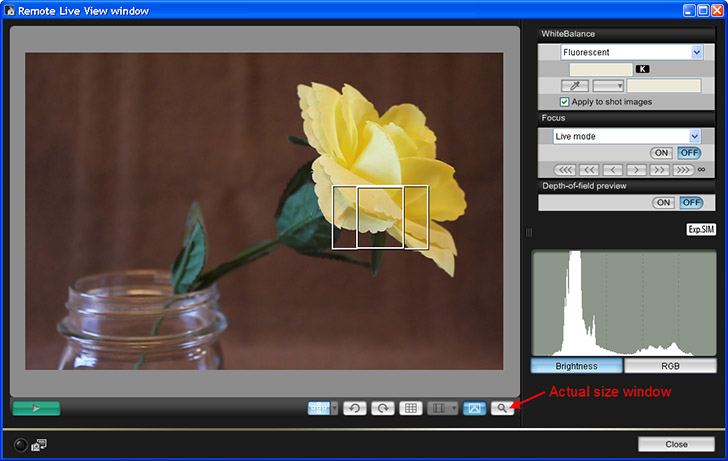 remoteliveviewwindow.jpg
