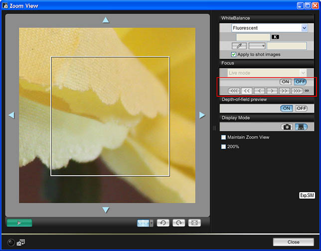 zoomviewwindow.jpg