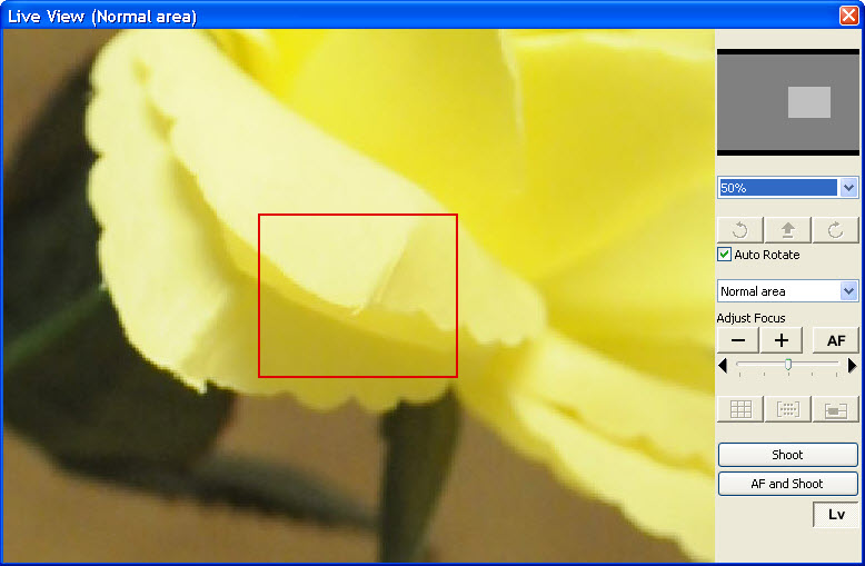 zoomview.jpg